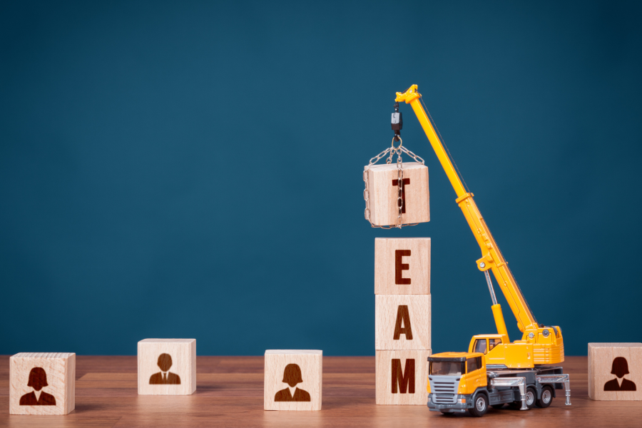 Service: Human Capital Consultancy