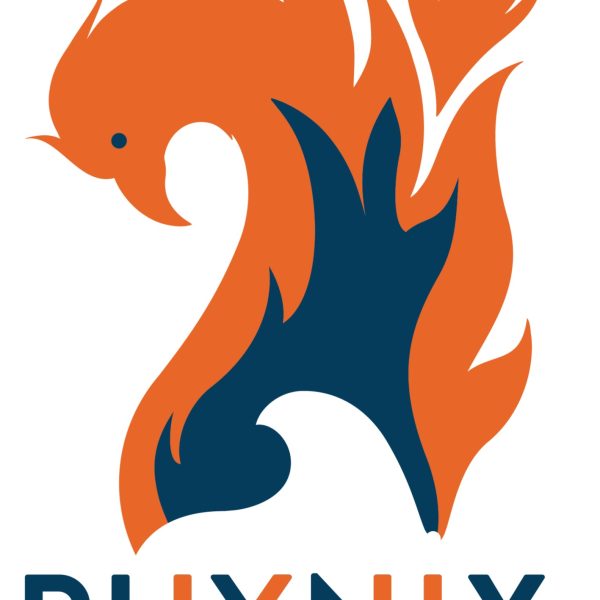 Phynix Logo - Varianten-01