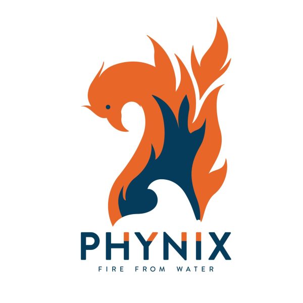 Phynix Logo - Varianten-01